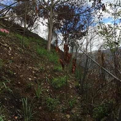 Imagen 6 de 8 de Terreno El Tigrito 349mtrs Con Cerca Del Alfajor
