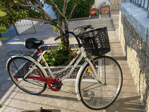 Bicicleta Baccio Siena