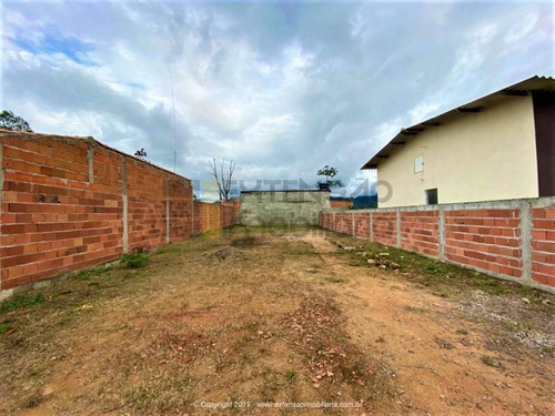 Imagem 11 de 12 de Terreno Com 250m² No Bairro Golfinho - Caraguatatuba/sp