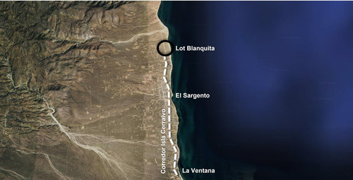 Lot Blanquita