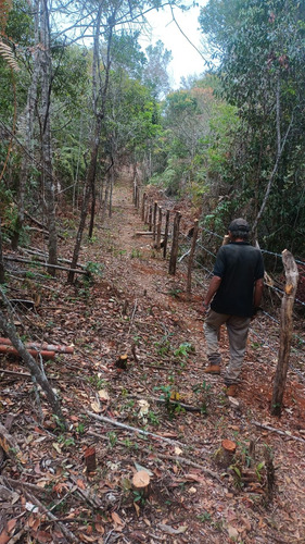 Terreno Em Cabeça De Boi - Itambé
