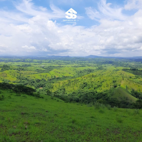 Finca En Venta - Guárico - Granja De Porcina