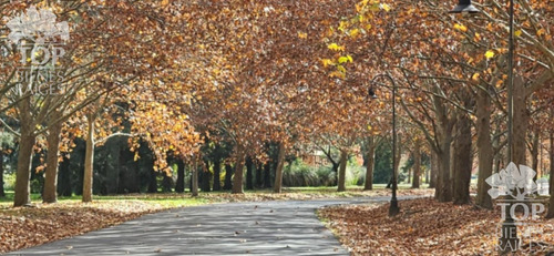 Casa En Venta-el Nacional Club De Campo-rodriguez-pilar
