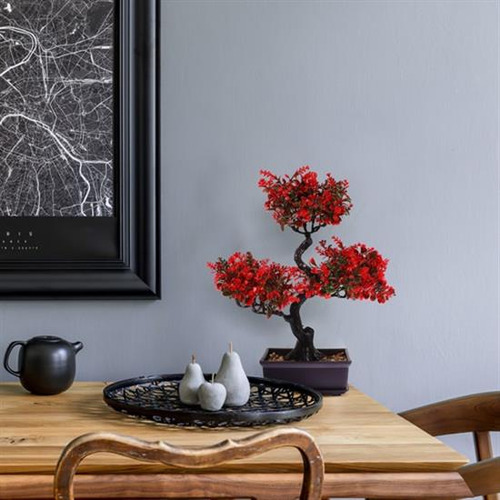 Mesa De Decoración De Comedor Con Árbol Bonsái Para Interior