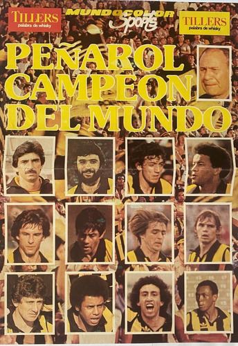  Poster Peñarol Campeón Del Mundo 1982. Cr06