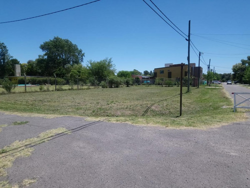 Imagen 10 de 13 de Terreno - Loma Verde