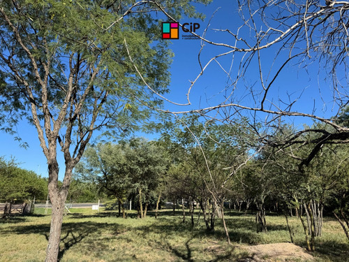 Venta De Lotes Sobre Ruta 1, Los Molles