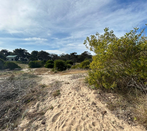 Inmobiliaria Costa Azul Vende 7 Terrenos A 300mtrs Del Mar Pegado A La Serena En Santa Maria