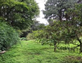 Imagen 12 de 12 de Propiedad De Centro De Retiros En Venta Ideal Para Iglesias