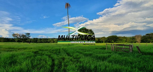 Imagem 3 de 15 de Fazenda Uberlândia Mg Para Pecuária Ou Soja, Milho 82,03 Hectares - 358