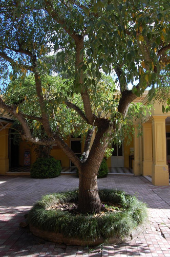 Lotes Y Terrenos En Estancia Las Lilas Oportunidad