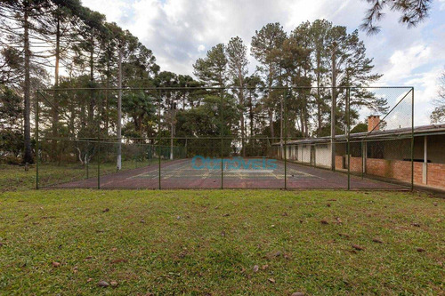 Imagem 16 de 30 de Casa Com 5 Dormitórios À Venda, 450 M² Por R$ 6.800.000,00 - Planta Laranjeiras - Piraquara/pr - Ca0579