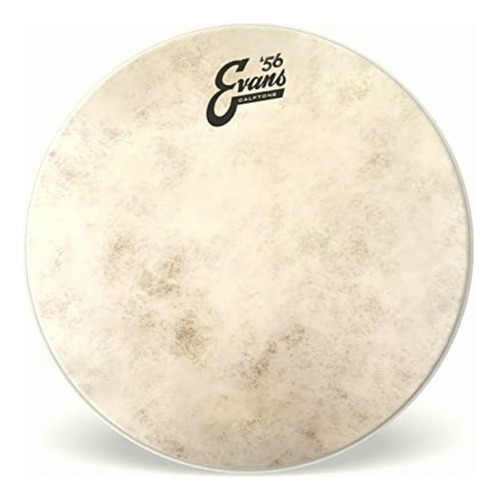 Evans Tt14c7 14-inch Calftone Tom Batter