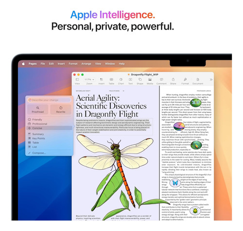 Apple Macbook Air 15.3 - 2025 - Chip M4 - La Ultima - Stock Celeste
