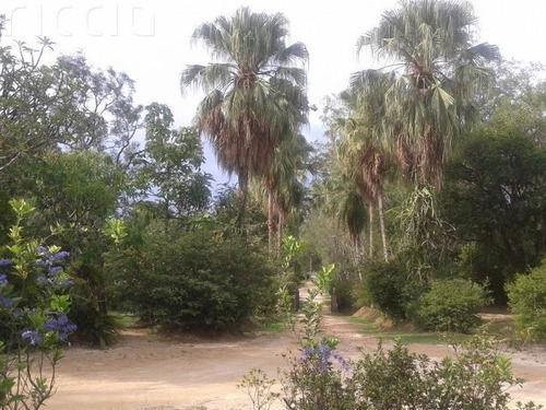 Chacara - Vila Candida - Ref: 3558 - V-ch0022
