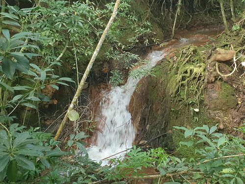 Terreno Sitio Chacara Lote Loteamento Com Lago 16.000 M² Ibiuna Sonho Tranquilidade Natureza Refugio