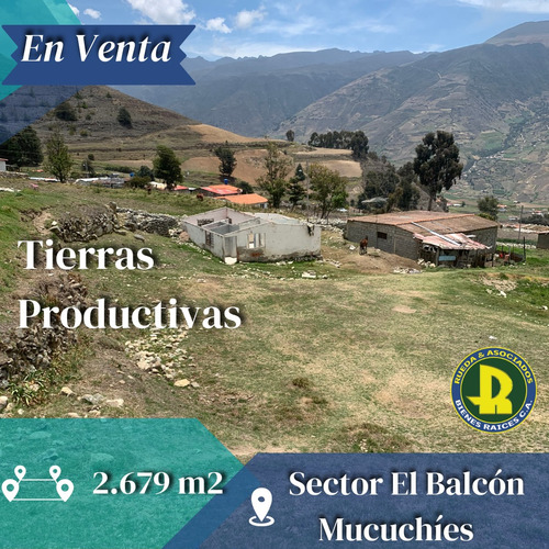 En Venta Tierras Productivas Sector El Balcón Mérida - Venezuela