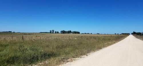 Vendo O Permuto Chacra De 2 Hectareas A 40 Minutos De Tandil