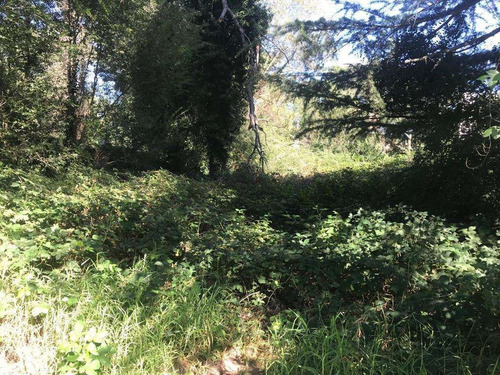 Imagen 3 de 12 de Venta Lote 800 Mts Sierra De Los Padres - Sobre Asfalto En Inmejorable Entorno
