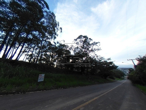 Imagem 4 de 6 de Terreno - Sao Cristovao - Ref: 33087 - V-33084