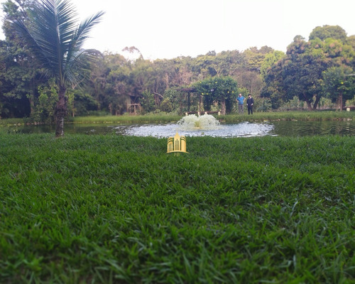 Imagem 13 de 30 de Sitio Em Boa Vista - Esmeraldas - St00068 - 34802218