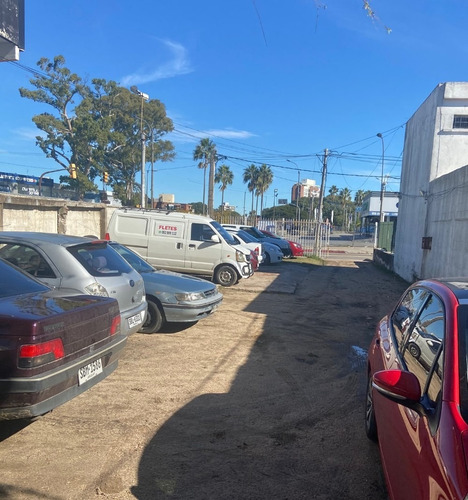 Alquiler De Terreno Ideal Empresa