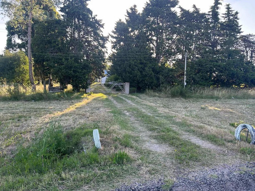 Se Vende Chacra De 3 Ha 7761m2 A 4,5 Km Del Parque Rodó, San José De Mayo