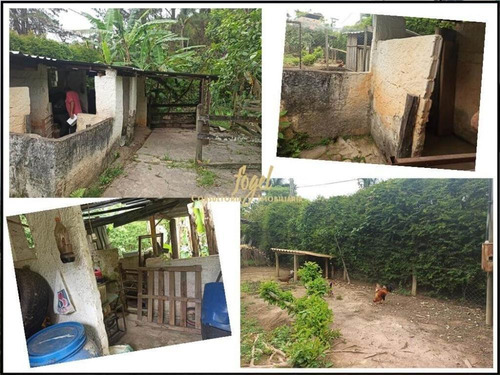 Imagem 19 de 22 de Granjas Triunfo - Casa Ou Sítio Com Escritura E Registro - Excelente Infraestrutura - Aceita Imóvel - St2108v1