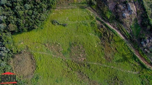 Imagem 7 de 15 de Terreno Para Venda Em Ponta Grossa, Neves - L-eco31_1-859684