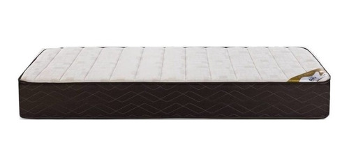 Imagen 1 de 3 de Colchon 1 1/2 Plaza Gani Espuma Golden Flex 100 X 1.90 X 24