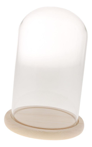 Cúpula Clara Con Base De Madera