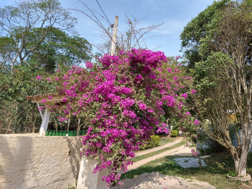 Chácara Em Mairiporã Com 5.225m