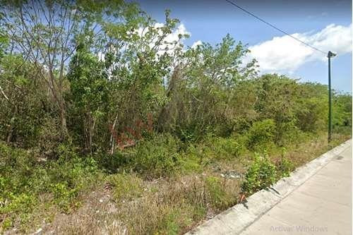 Imagen 4 de 17 de Terreno En Venta Cerca De Plaza Las Americas- Playa Del Carmen