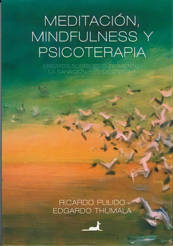 Meditacion Mindfulness Y Psicoterapia, De Ricardo Pulido. Editorial J. C. Saez Editor, Tapa Blanda En Español