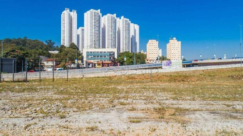 Imagem 5 de 12 de Terreno Para Alugar, 11947 M² Por R$ 39.900,00/mês - Centro - São Bernardo Do Campo/sp - Te0591