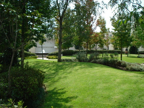 Imagen 1 de 2 de Excelente Planta Jardin En Parque Escondido