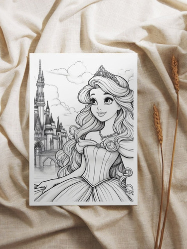 Kit Princesas Para Colorear | 28 Páginas Pdf Descargable