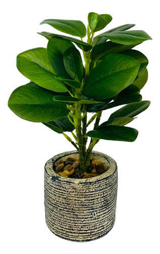 Arranjo De Flor Artificial Peperômia Sortido 28cm - Vencedor