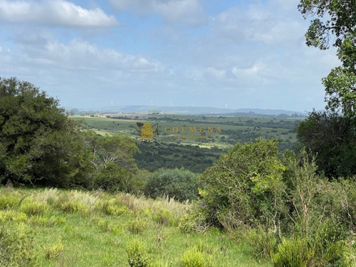 7 Chacras De 5 Has Cada Una A 20 Km De Aigua Por Ruta 39 - Consulte !!!!!- Ref: 4327