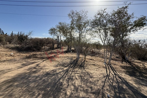 37.8 Hectáreas Para Desarrollar En Km9.5 Carretera Los Planes-la Paz Bcs