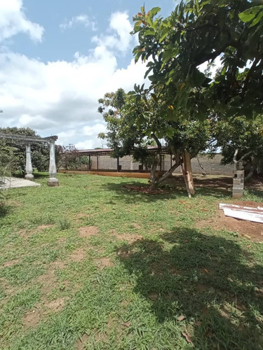 Imagen 6 de 25 de Finca Tinaquillo Terreno Multipropósito En Tinaquillo- Aguirre. Estado Cojedes. T26