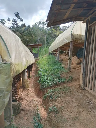 Vendo Finca En Yolombo Antioquia