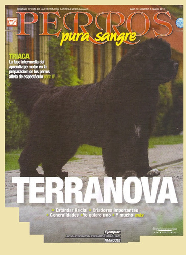 Revista De Perros El Terranova Mayo 2012