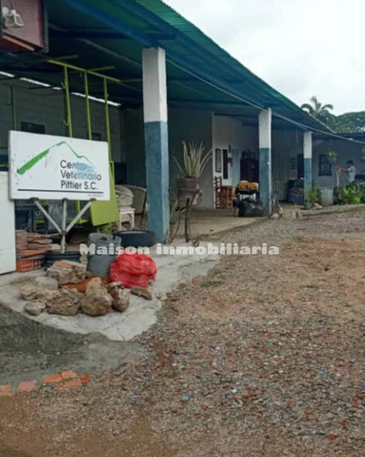 Maison Inmobiliaria Vende Terreno En El Limón
