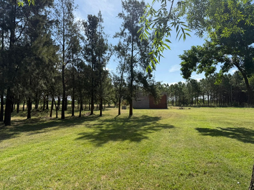 Lotes Arandanos V Village Park - Marcos Paz