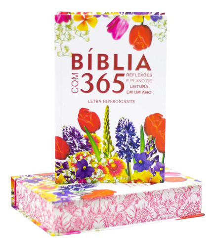 Bíblia Feminina C/365 Reflexões Plano Leitura Hiper Gigante