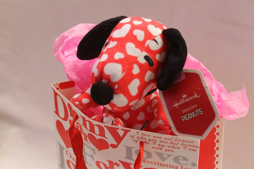 Snoopy Enamorado 14 Feb Dia De Los Enamorados Regalo