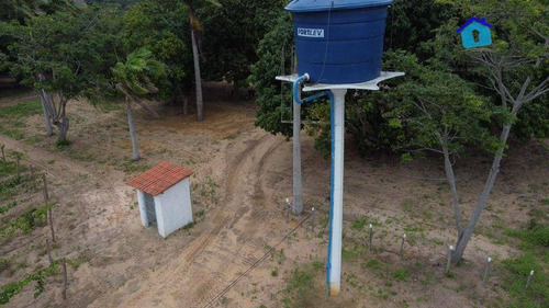 Imagem 21 de 30 de Granja Com 13 Hectares E Plantação Rentabilizando - Ch0065