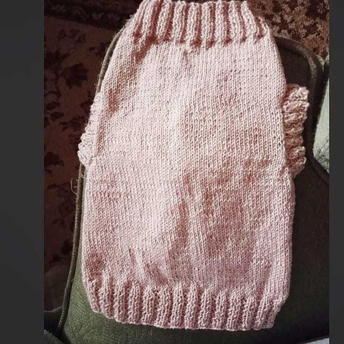 Chaleco Ropa Para Gato Talla Pequeña