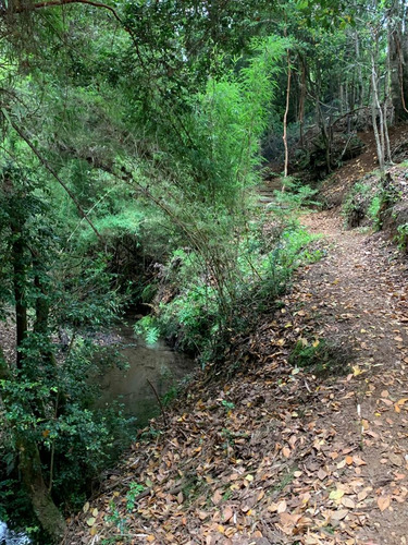 Venta Terreno